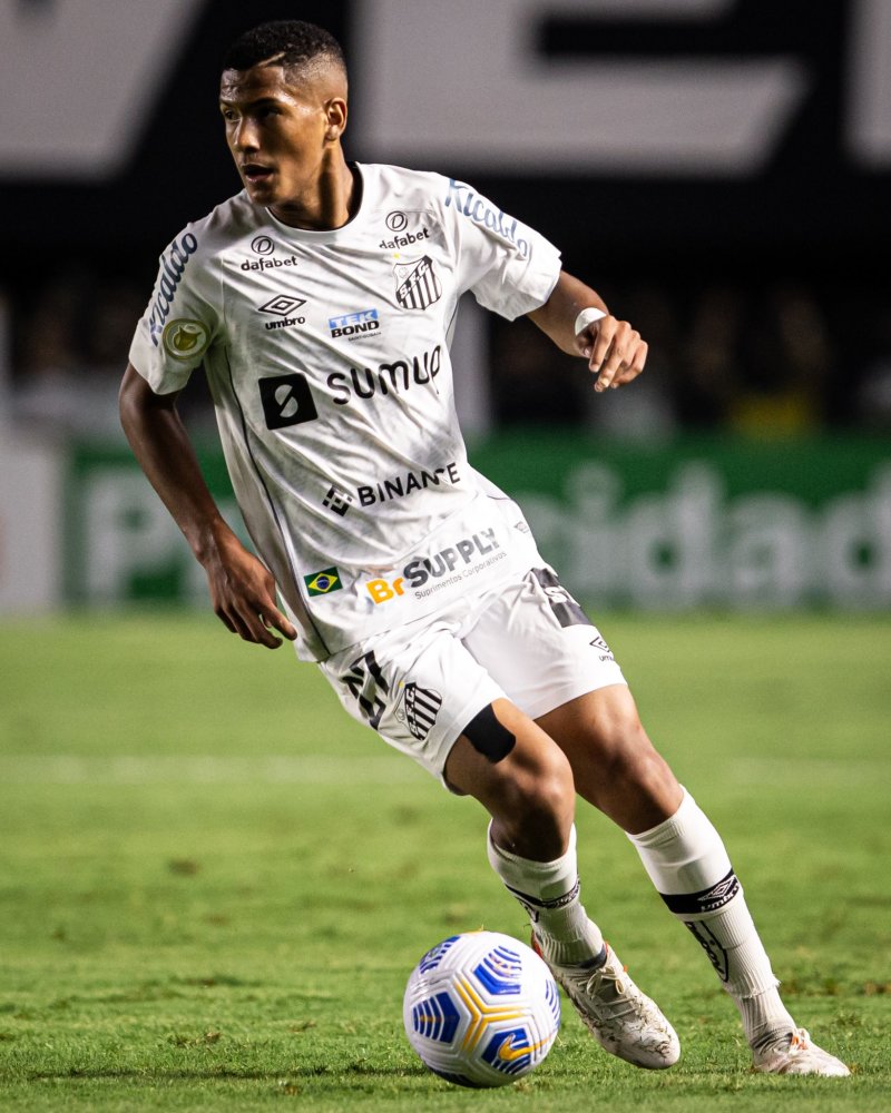 不仅展现了 不仅展现了