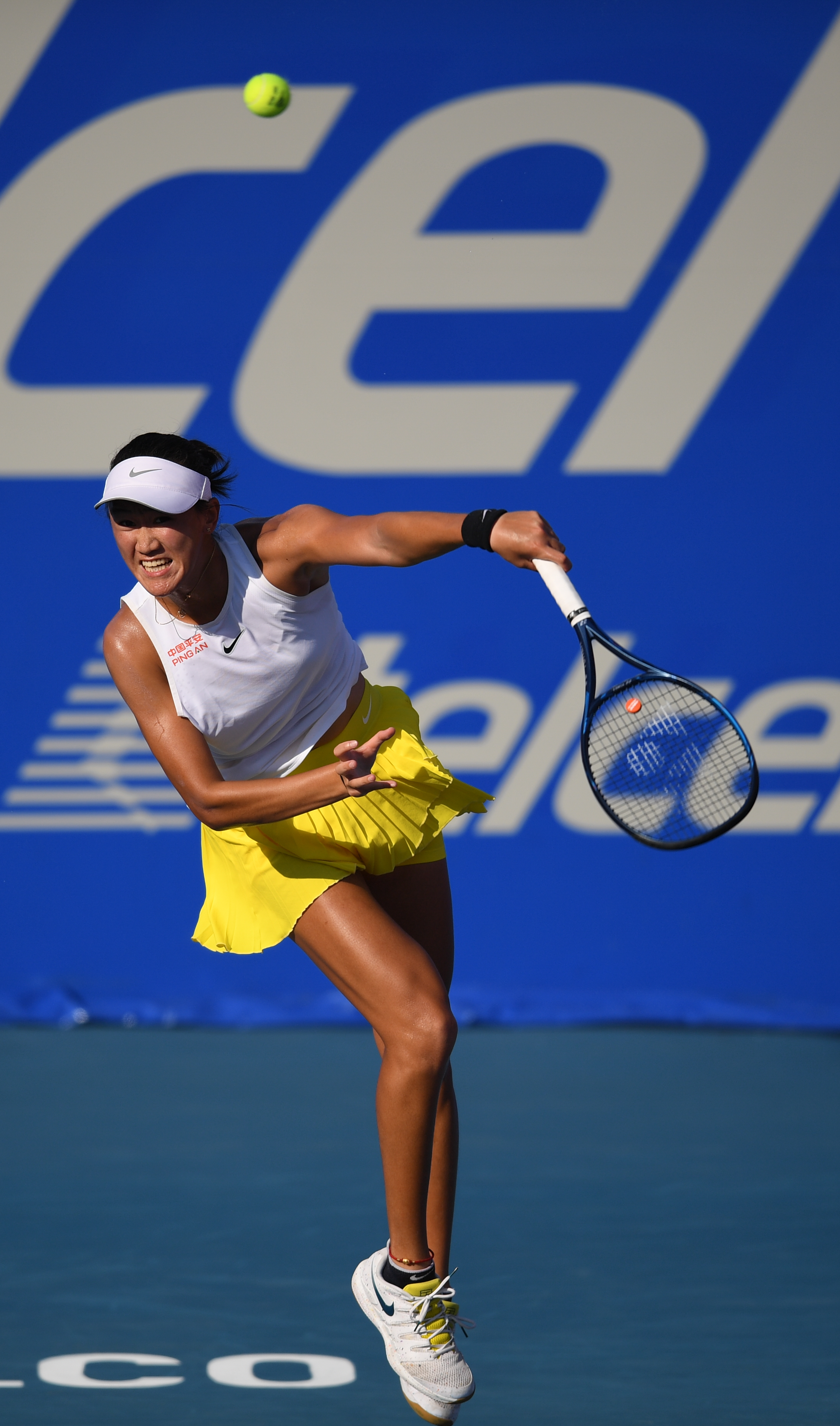 44次全会 44次全会